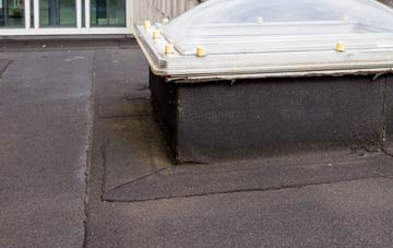 disadvantages of Poltimore flat roofs